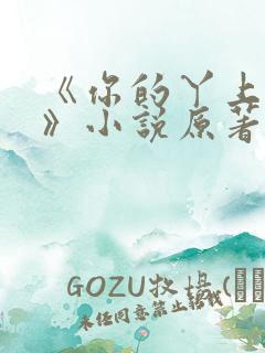 《你的丫上瘾了》小说原著