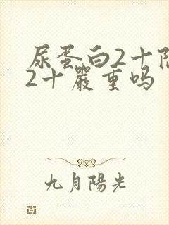 尿蛋白2十隐血2十严重吗