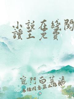 小说在线阅读阅读王免费