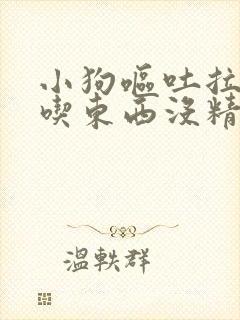 小狗呕吐拉稀不吃东西没精神怎么办