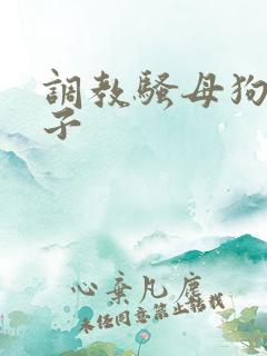 调教骚母狗大奶子