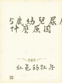 5岁幼儿尿床是什么原因