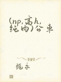 (np,高h,纯肉)公车