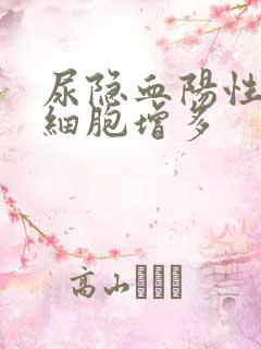 尿隐血阳性尿红细胞增多