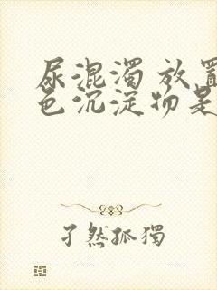 尿混浊 放置白色沉淀物是什么原因