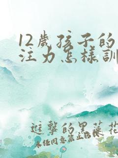 12岁孩子的专注力怎样训练