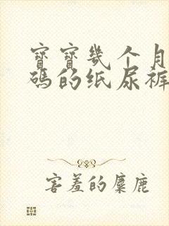 宝宝几个月用m码的纸尿裤