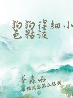 狗狗得细小吐白色粘液