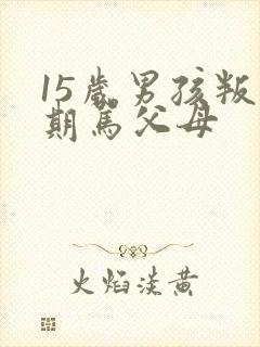 15岁男孩叛逆期骂父母