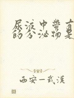 尿液中带有白色的分泌物是怎么回事