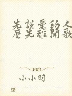 先说爱的人为什么先离开歌