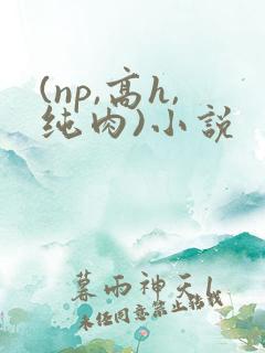 (np,高h,纯肉)小说