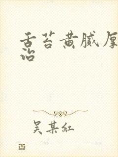 舌苔黄腻厚怎么治