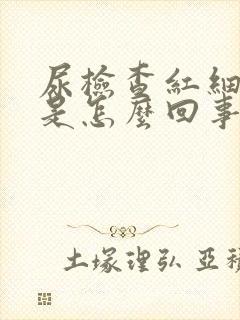 尿检查红细胞高是怎么回事潜血3+