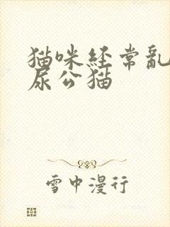 猫咪经常乱拉乱尿公猫