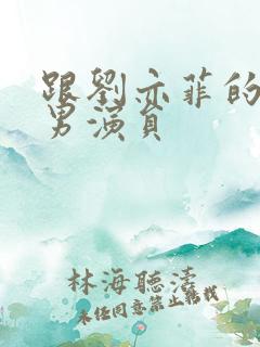 跟刘亦菲的韩国男演员