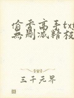 偷香高手txt无删减精校版