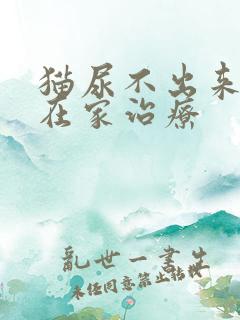 猫尿不出来怎么在家治疗