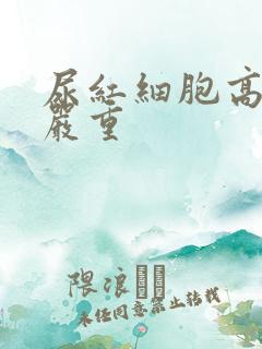 尿红细胞高24严重