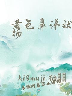 黄色鼻涕状分泌物