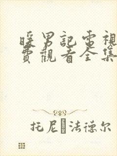 暖男记电视剧免费观看全集