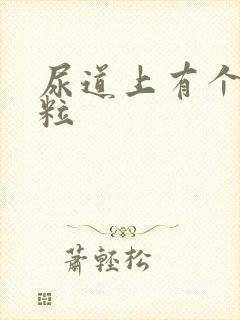 尿道上有个小肉粒