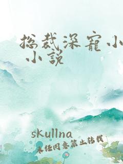 总裁深宠小甜妻 小说