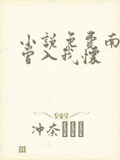 小说免费南风也曾入我怀