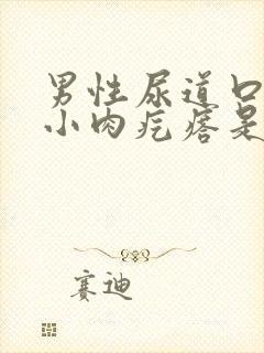 男性尿道口长个小肉疙瘩是怎么回事