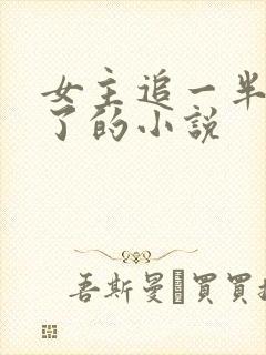 女主追一半不追了的小说