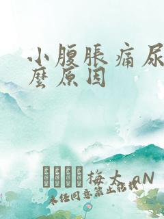 小腹胀痛尿频什么原因