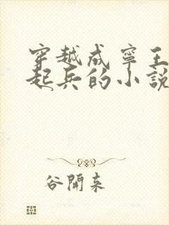 穿越成宁王朱权起兵的小说