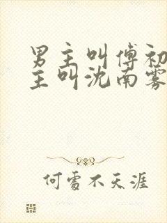 男主叫傅初安女主叫沈南雾的小说