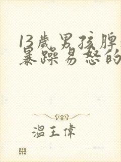 13岁男孩脾气暴躁易怒的中医调理