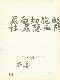 尿白细胞酯酶阳性,尿隐血阳性