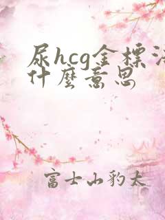 尿hcg金标法什么意思