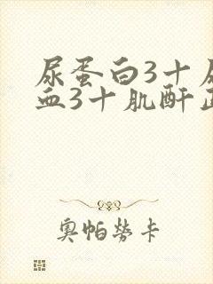 尿蛋白3十尿潜血3十肌酐正常