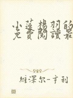 小莲杨羽的小说免费阅读最新章节