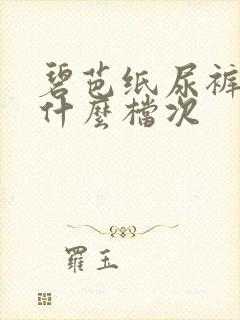 碧芭纸尿裤属于什么档次