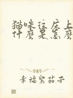 猫咪往床上尿是什么是怎么回事