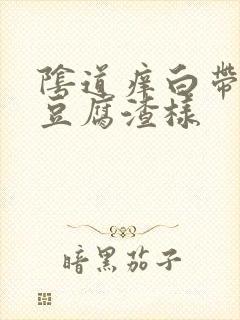 阴道痒白带发黄豆腐渣样