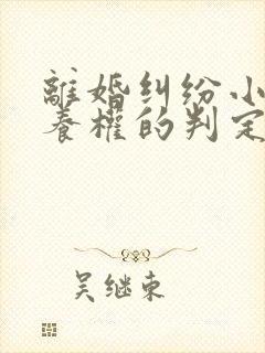 离婚纠纷小孩抚养权的判定