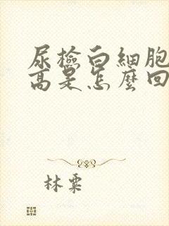 尿检白细胞酯酶高是怎么回事