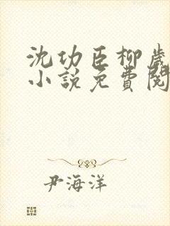 沈功臣柳岁岁的小说免费阅读无弹窗