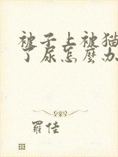 被子上被猫咪尿了尿怎么办