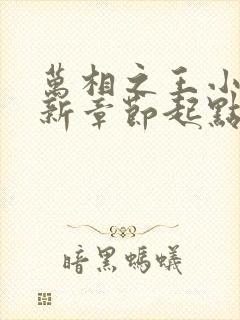 万相之王小说最新章节起点