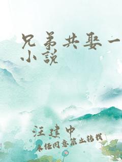 兄弟共娶一妻的小说