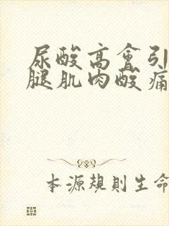 尿酸高会引起小腿肌肉酸痛吗