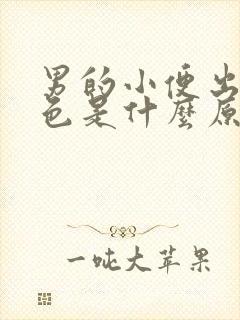 男的小便出现红色是什么原因