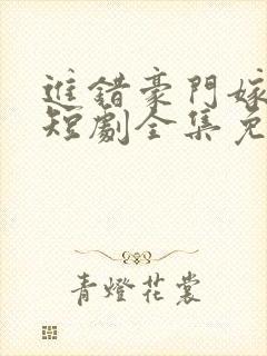 进错豪门嫁对郎短剧全集免费观看